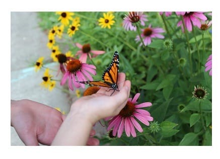 Child holding a flower